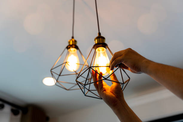 Best Industrial Electrical Services  in Maple Park, IL