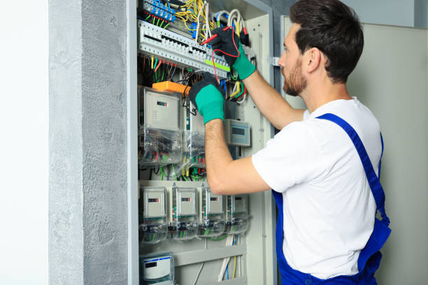 Best Electric Panel Repair  in Maple Park, IL